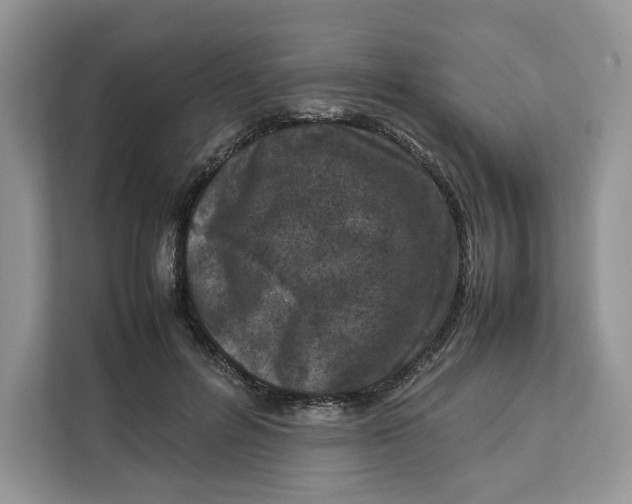 X0000112210600200908281501