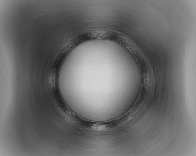 X0000112210602200908281501