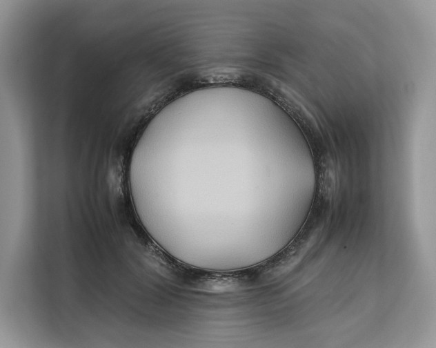 X0000112210604200908281501