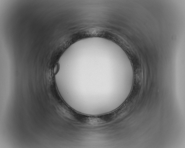 X0000112210605200908281501