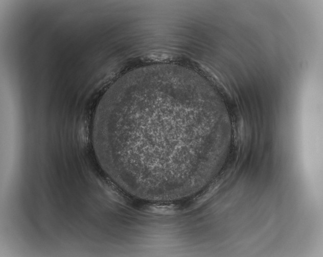 X0000112210606200908281501