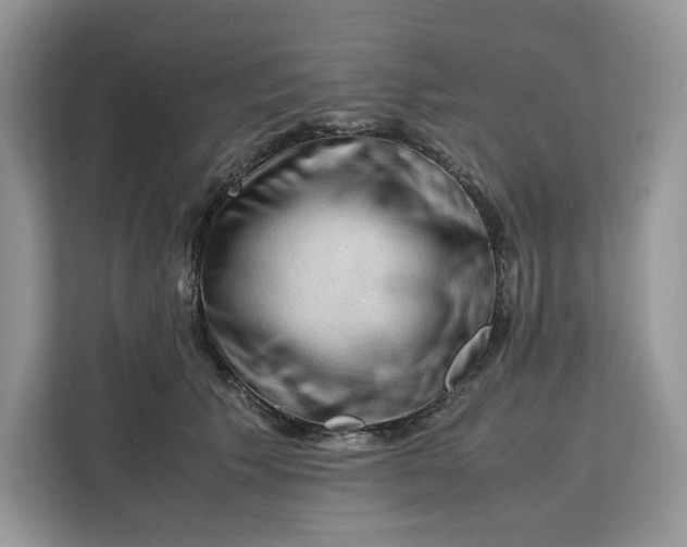 X0000112210609200908281501