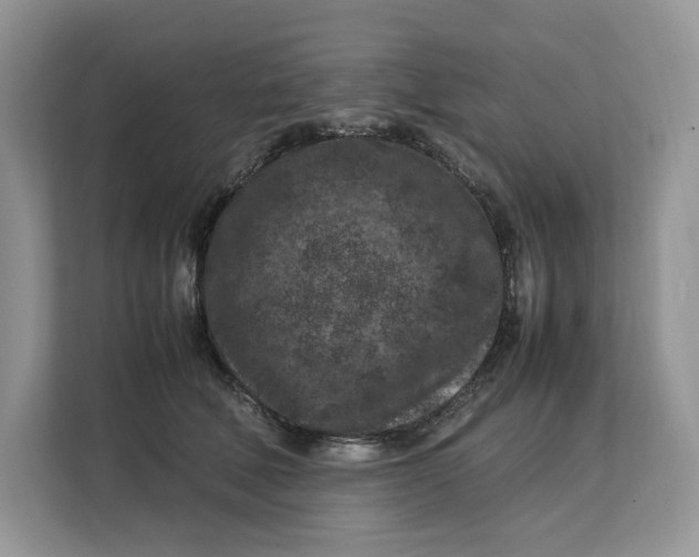 X0000112210610200908281501