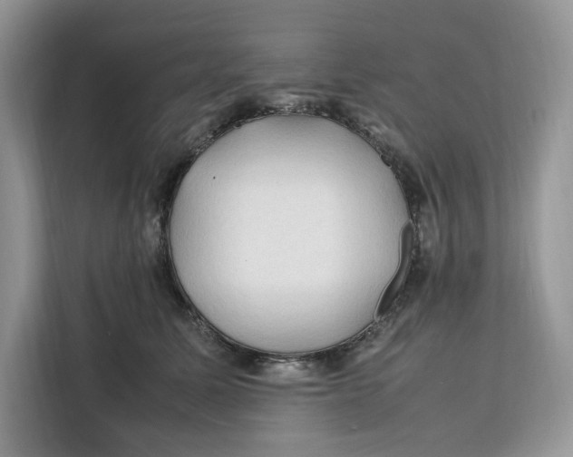 X0000112210611200908281501