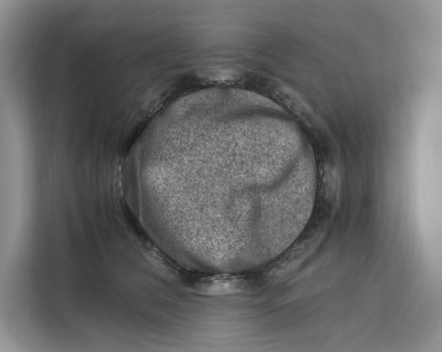 X0000112210612200908281501