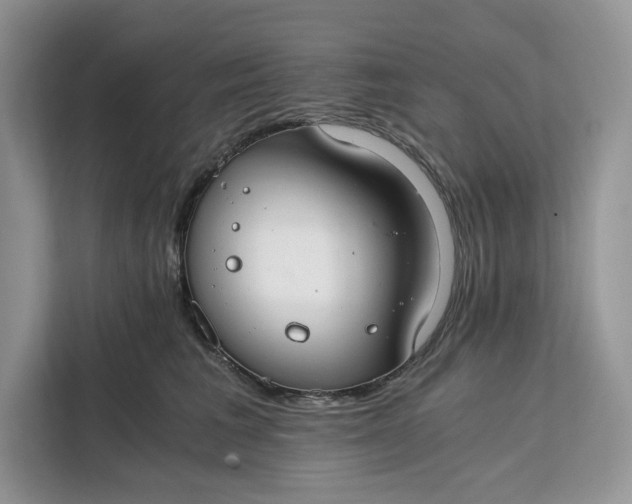 X0000112210613200908281501