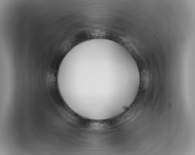 X0000112210614200908281501
