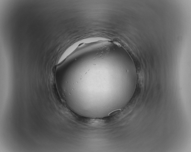 X0000112210617200908281501