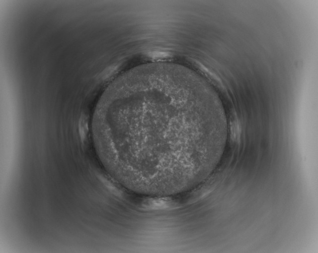 X0000112210618200908281501