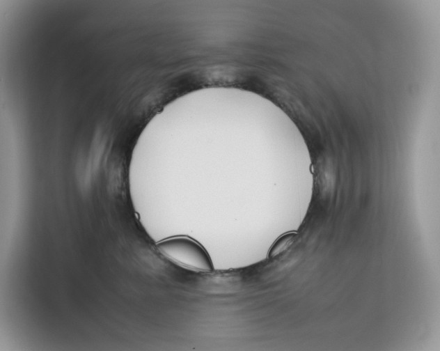 X0000112210619200908281501