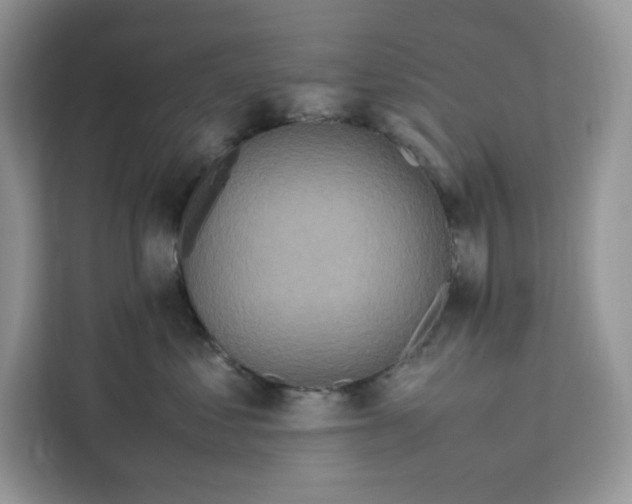 X0000112210621200908281501