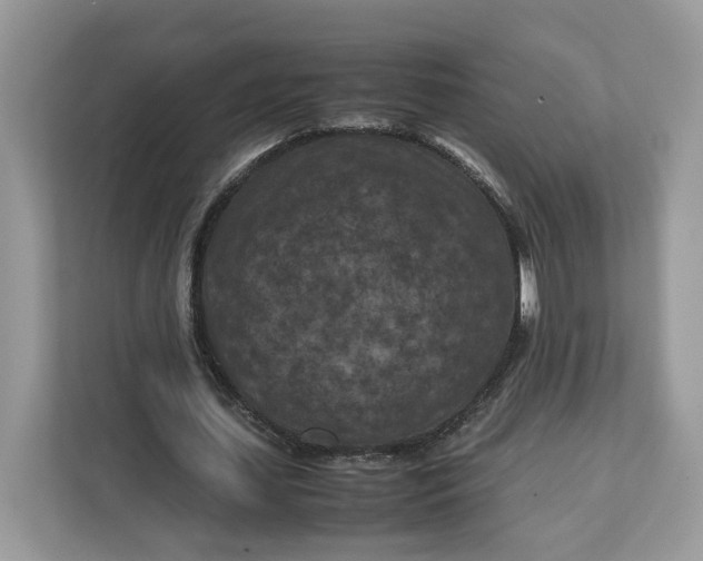X0000112210627200908281500
