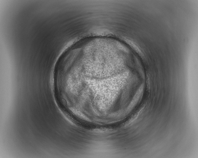 X0000112210630200908281500