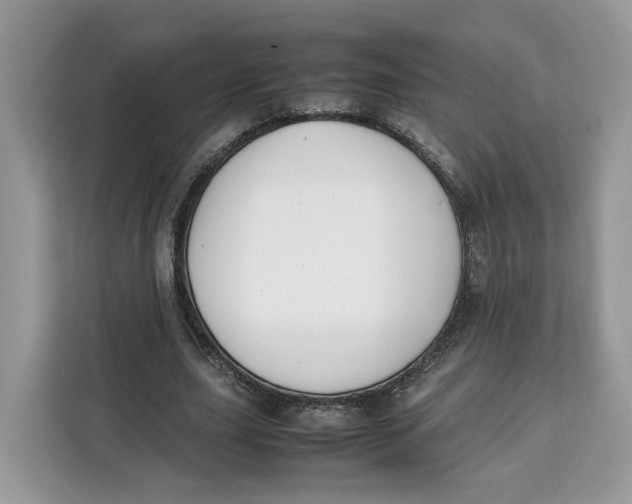 X0000112210631200908281500