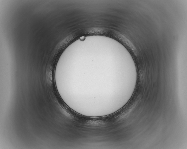 X0000112210633200908281500