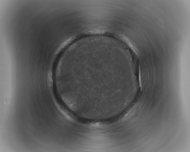 X0000112210634200908281500