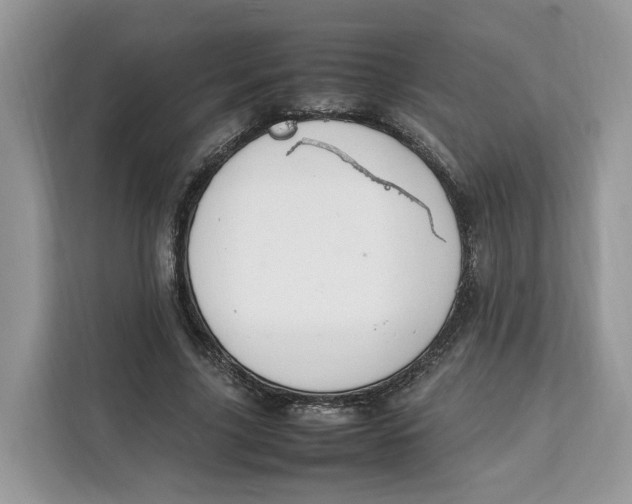 X0000112210635200908281500