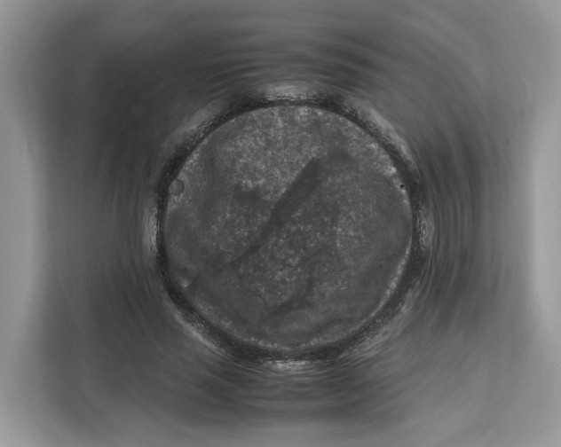 X0000112210637200908281500