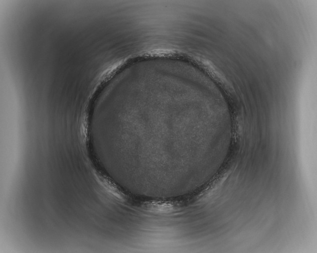 X0000112210640200908281500
