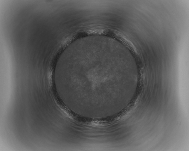 X0000112210641200908281500