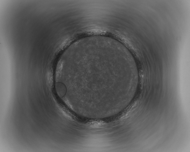 X0000112210642200908281500