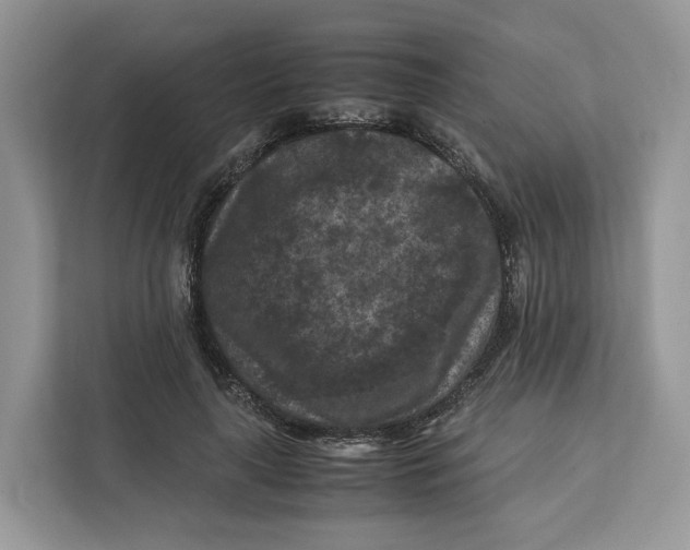 X0000112210643200908281500