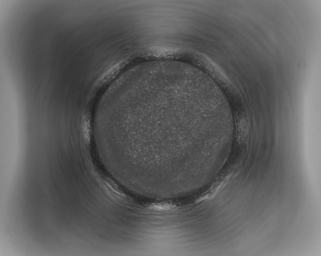 X0000112210644200908281501