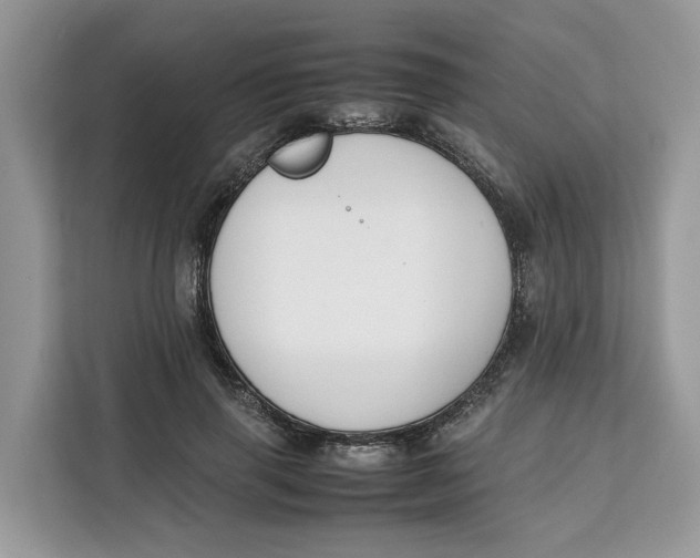 X0000112210645200908281501