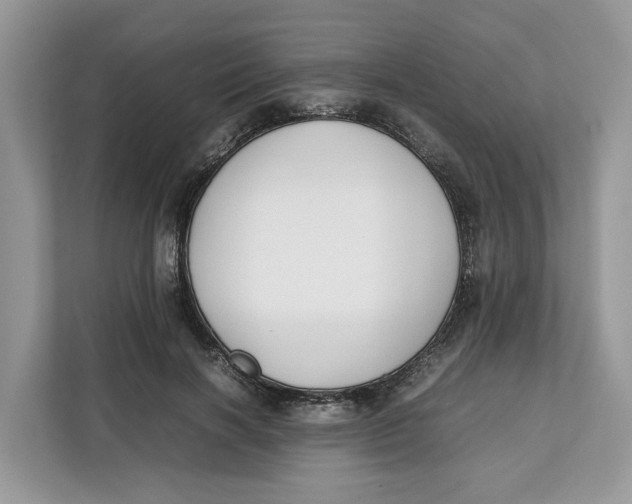 X0000112210646200908281501