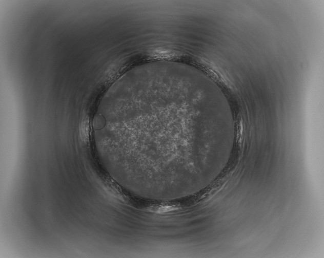 X0000112210647200908281501