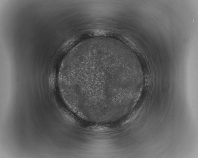 X0000112210648200908281501