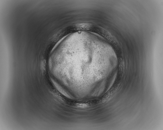 X0000112210649200908281501