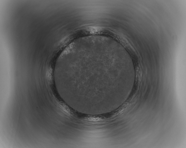X0000112210650200908281501