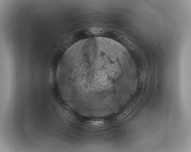 X0000112210651200908281501