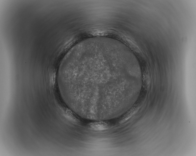 X0000112210652200908281501