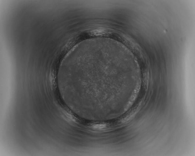X0000112210653200908281501