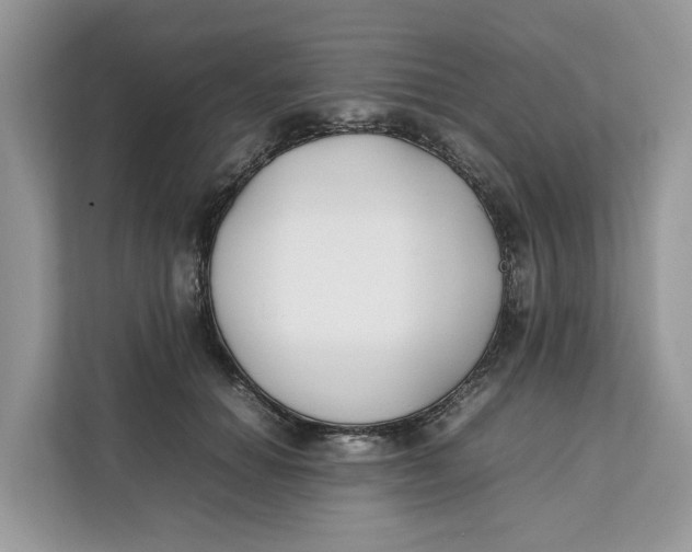 X0000112210654200908281501