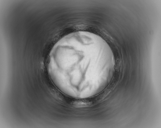 X0000112210655200908281501