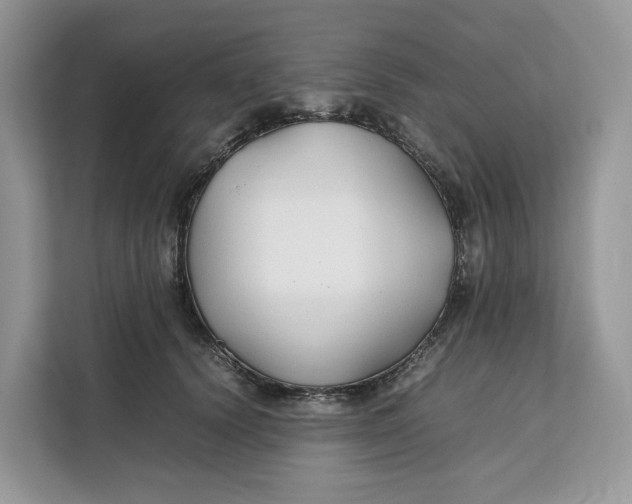X0000112210656200908281501