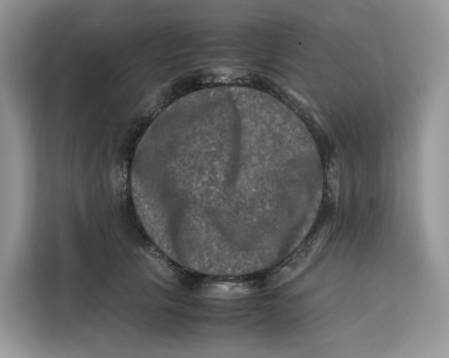 X0000112210657200908281501
