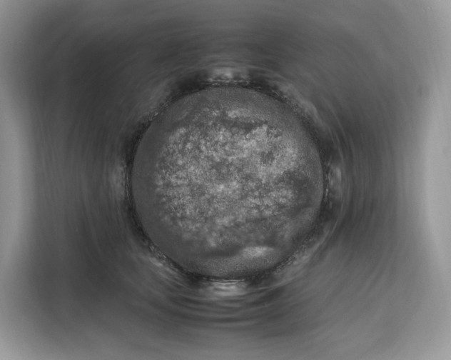 X0000112210659200908281501