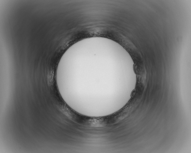 X0000112210660200908281501