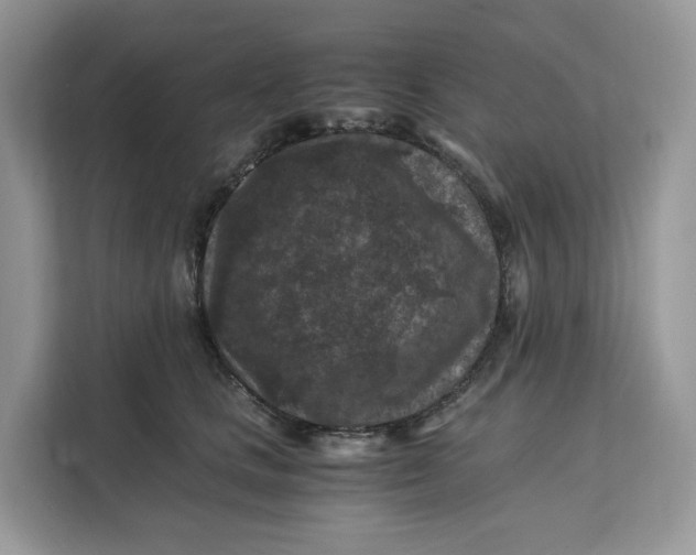 X0000112210661200908281501