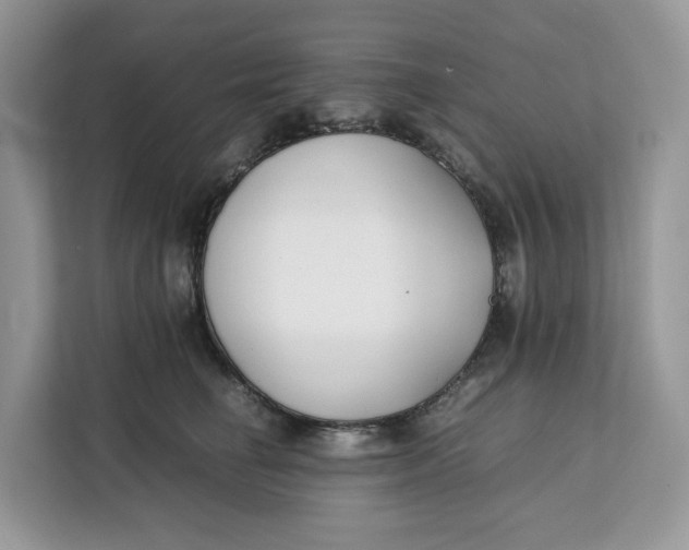 X0000112210662200908281501