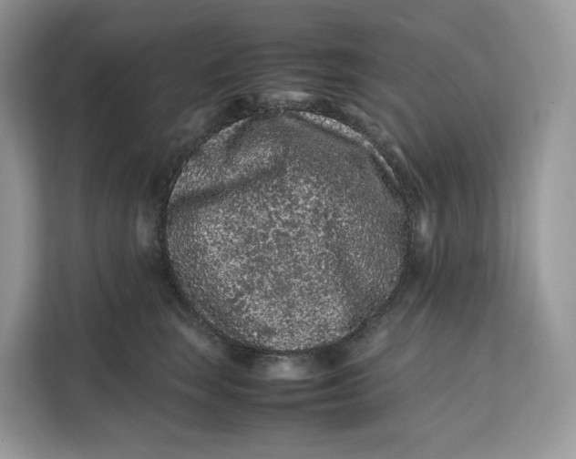 X0000112210663200908281501