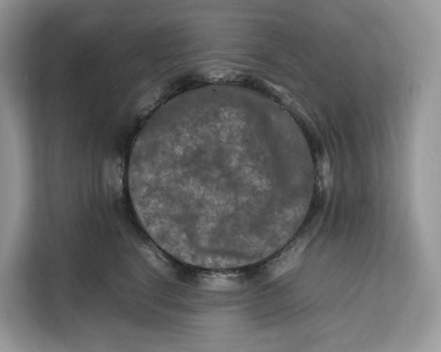X0000112210664200908281501