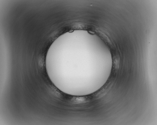 X0000112210665200908281501