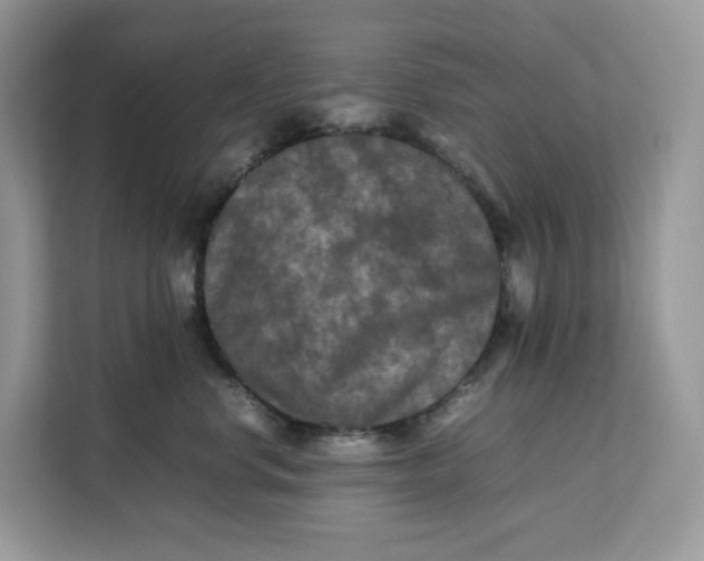 X0000112210668200908281501