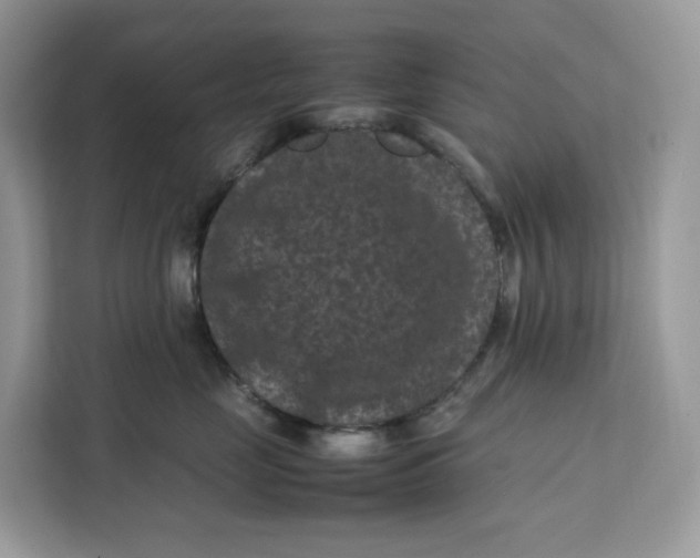 X0000112210669200908281501