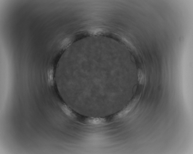 X0000112210670200908281501